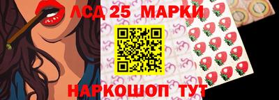 гашик Будённовск