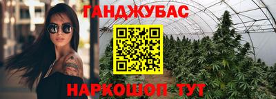 гашик Будённовск