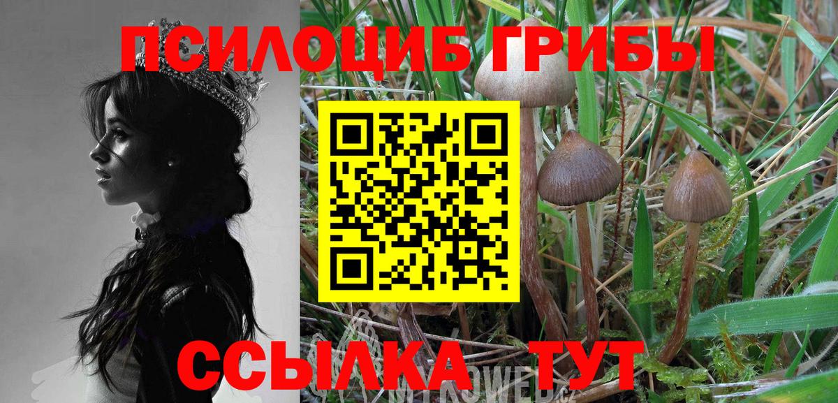 Галлюциногенные грибы мухоморы Новосибирск